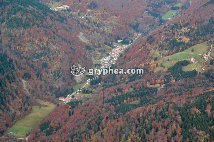 Vallée dans les Vosges - gryphea.com